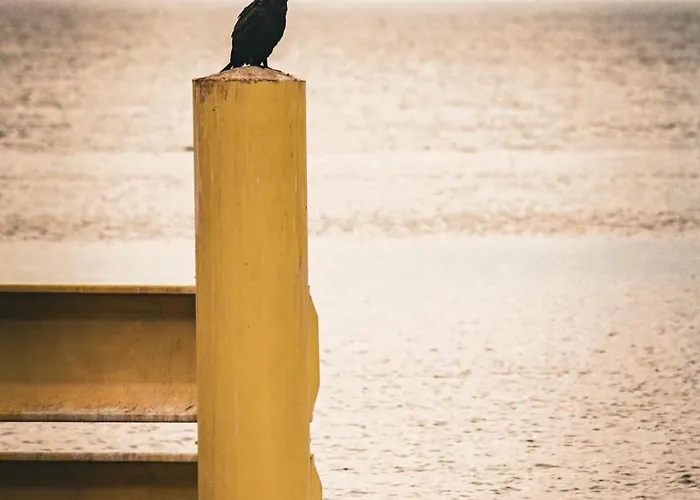 Marina Elegance Aparthotel